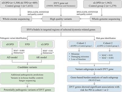 Genetic analysis of dystonia-related genes in Parkinson's disease